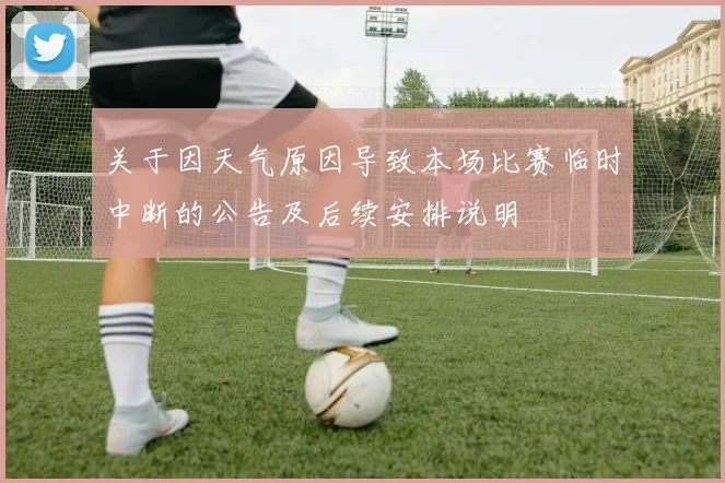 关于因天气原因导致本场比赛临时中断的公告及后续安排说明